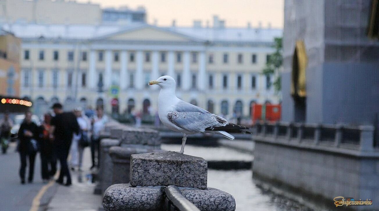 Фотосессия?