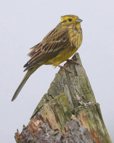 Погода - жуть, но я держусь!