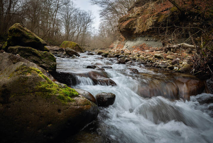 "Белая речка"