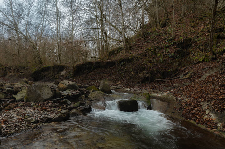 "Белая речка"