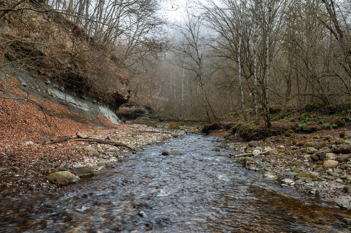 "Белая речка"