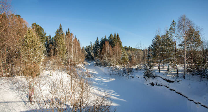 Зимняя речка