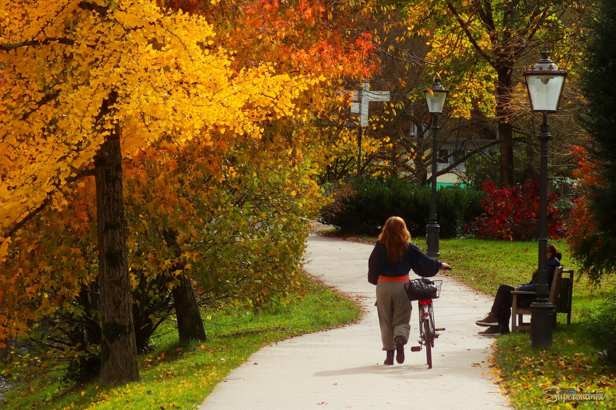 	 Осенние прогулки