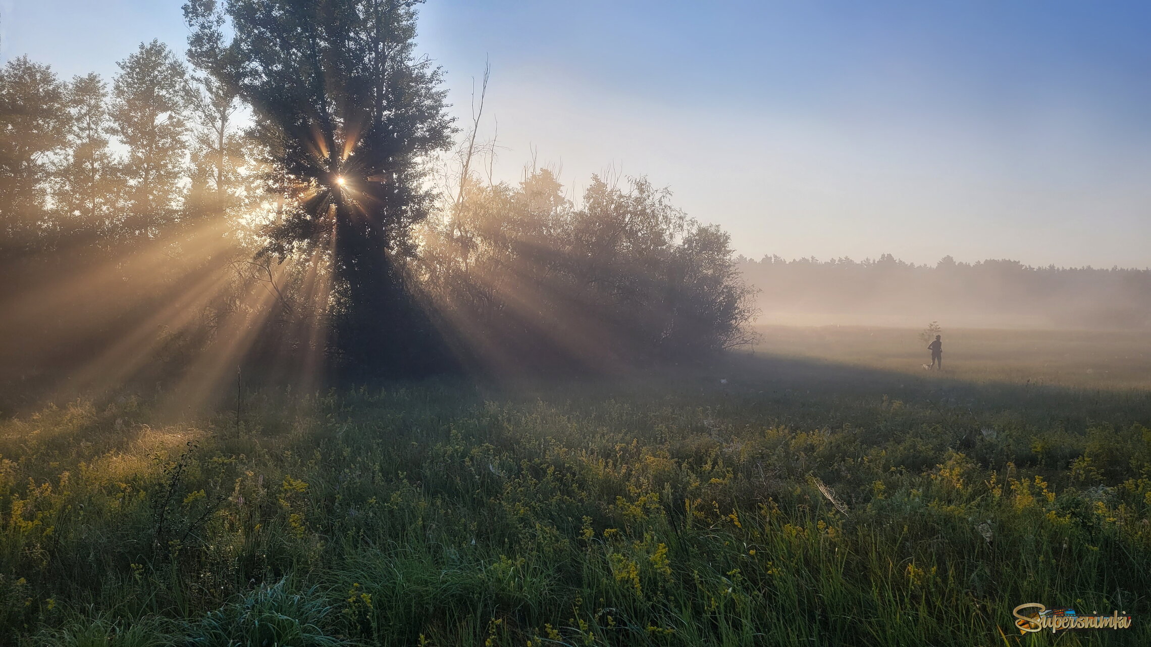 Встречая летнее утро