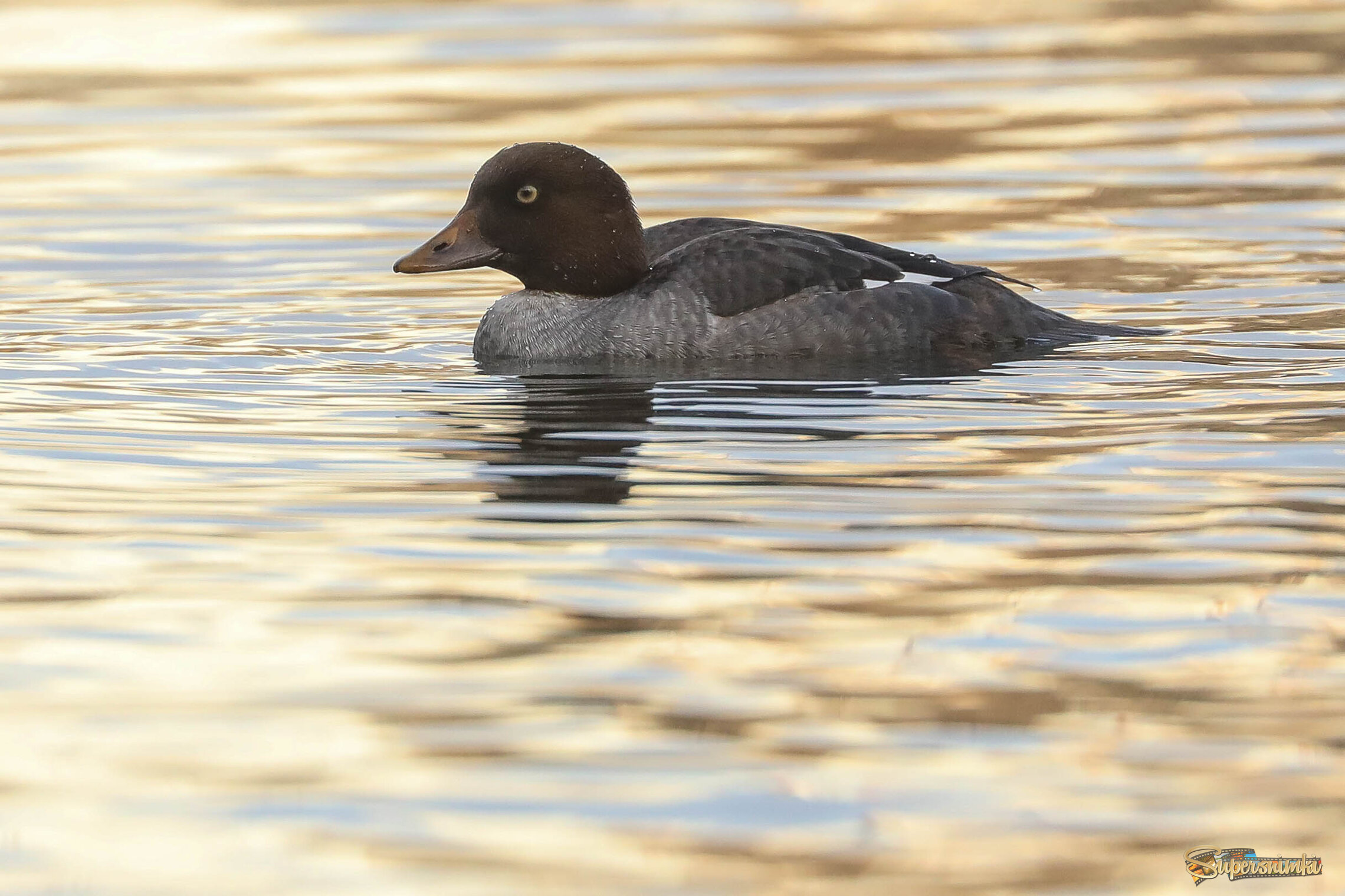 Я такая загадочная!