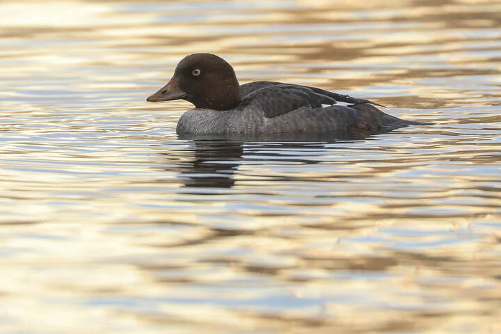 Я такая загадочная!
