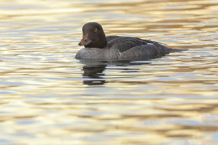 Я такая загадочная!