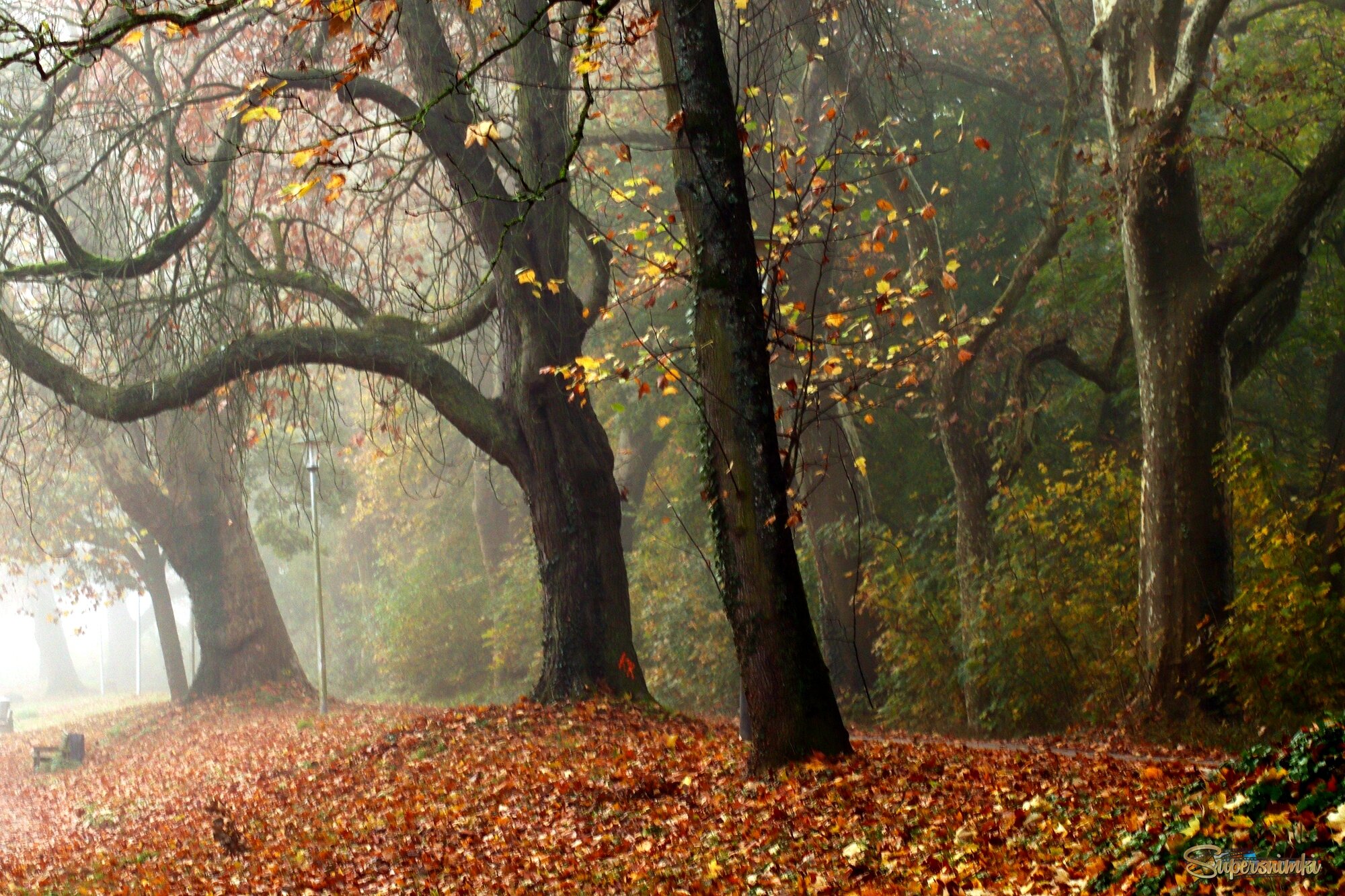 Утро ноября