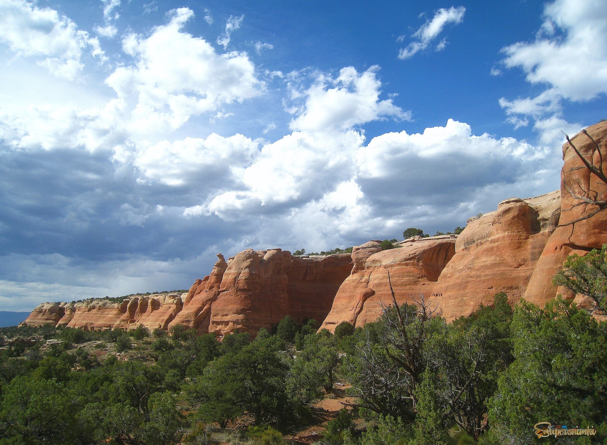 В каньоне Гремучей змеи, Колорадо, США.