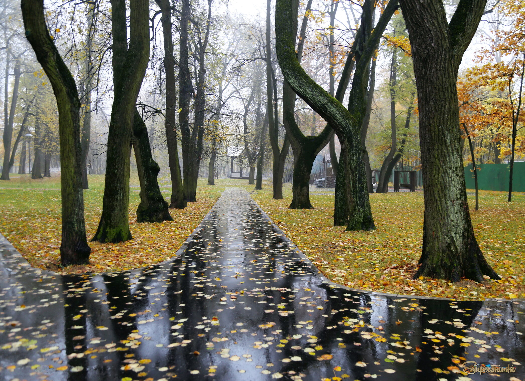 Старый парк