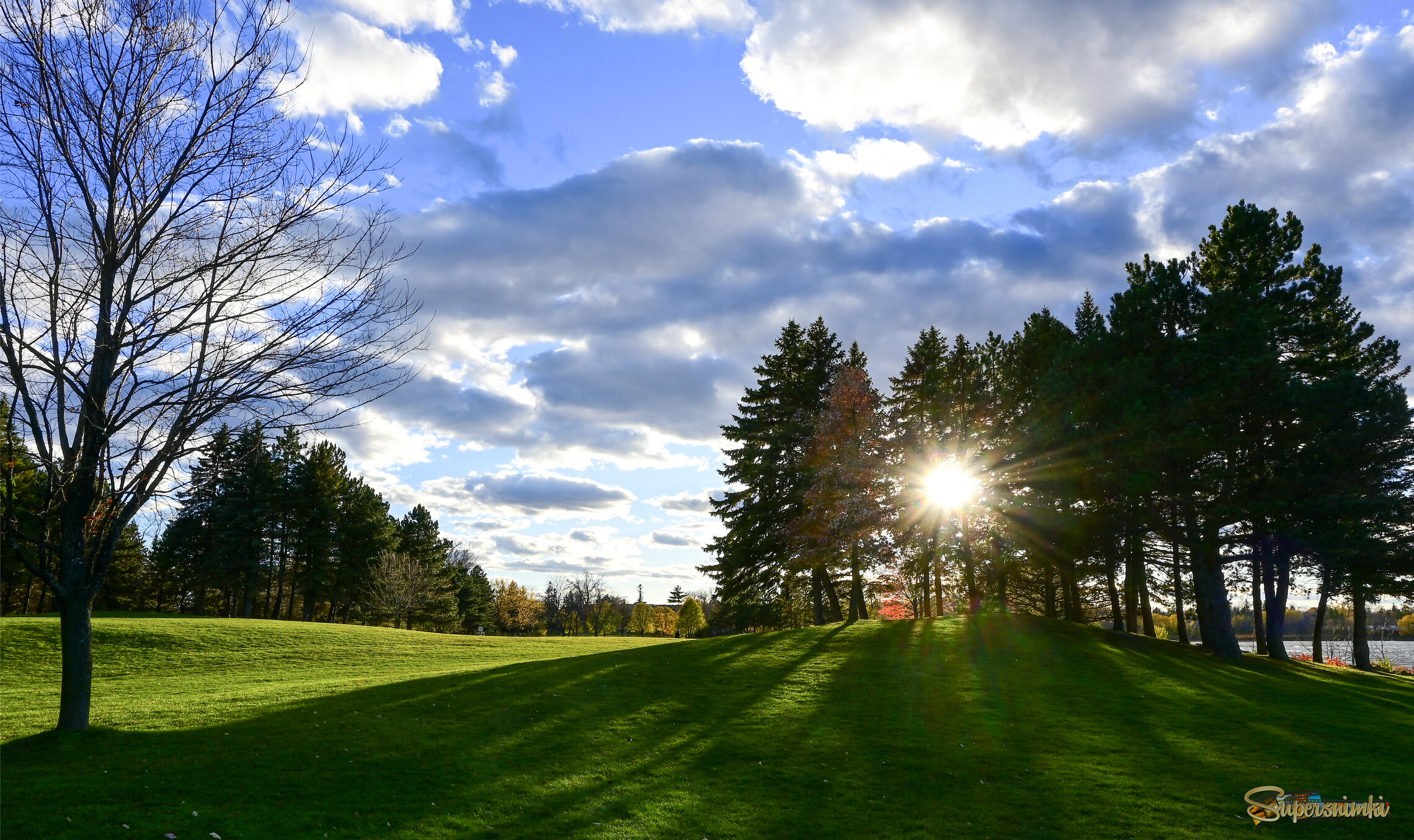 Парковый закат