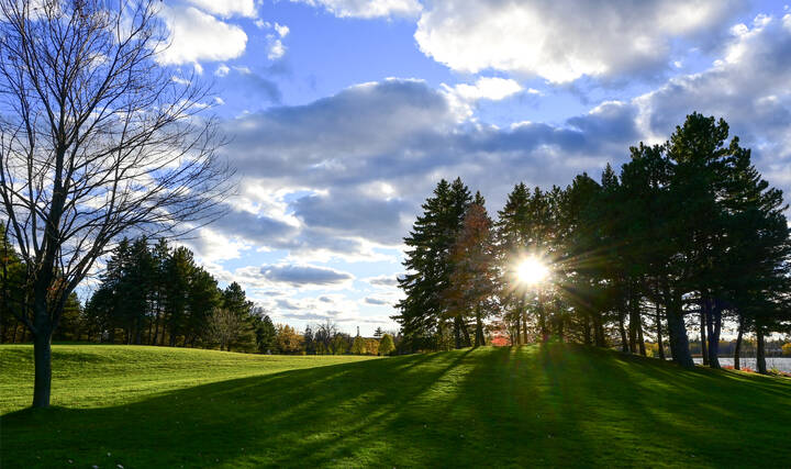 Парковый закат