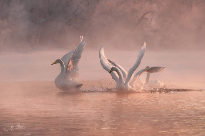 Утренние купания