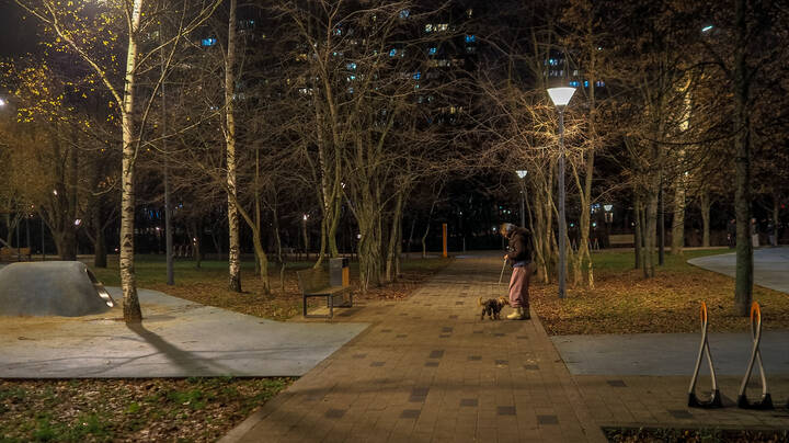 Прогулки в Вечернем Парке