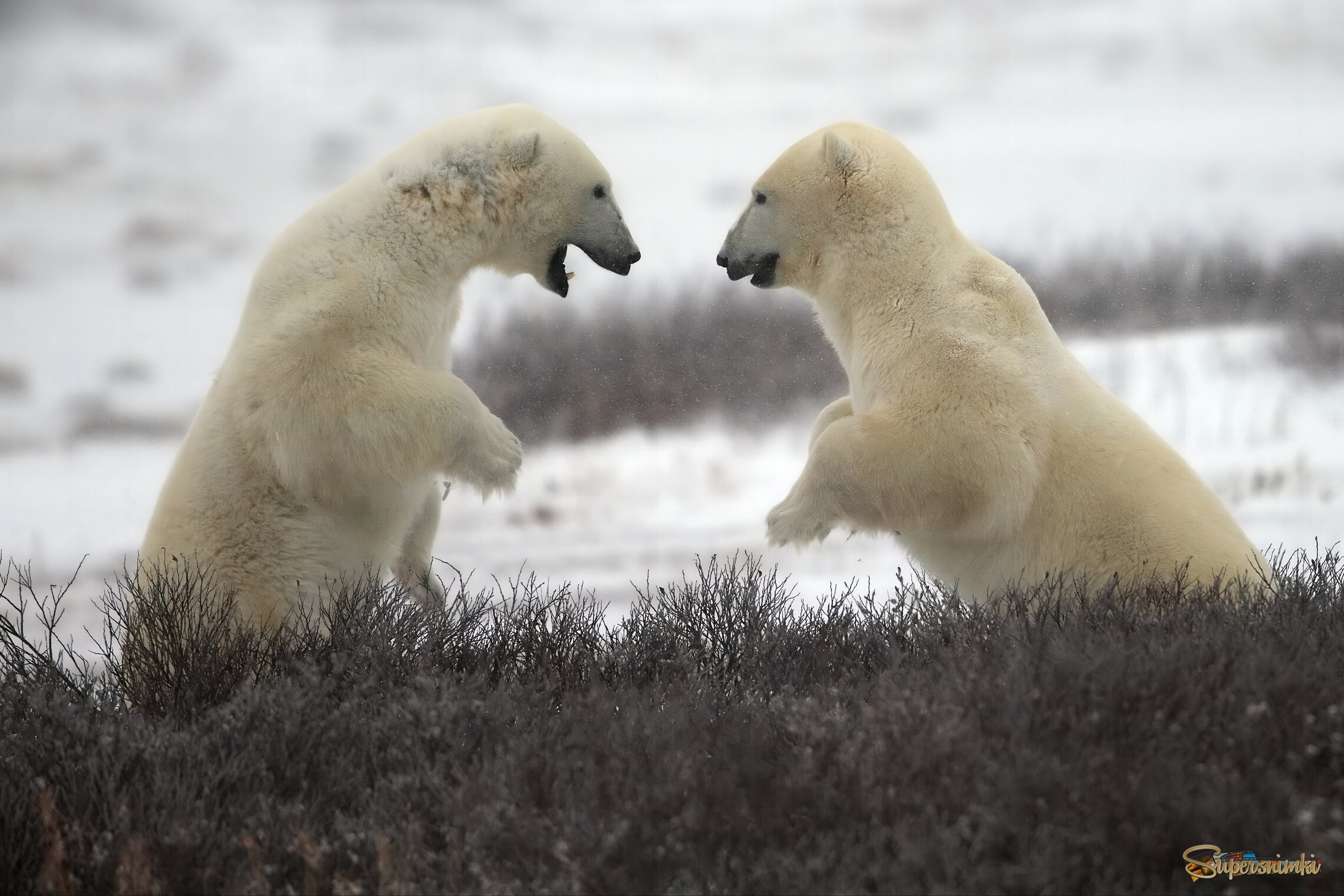 Драться нельзя обниматься