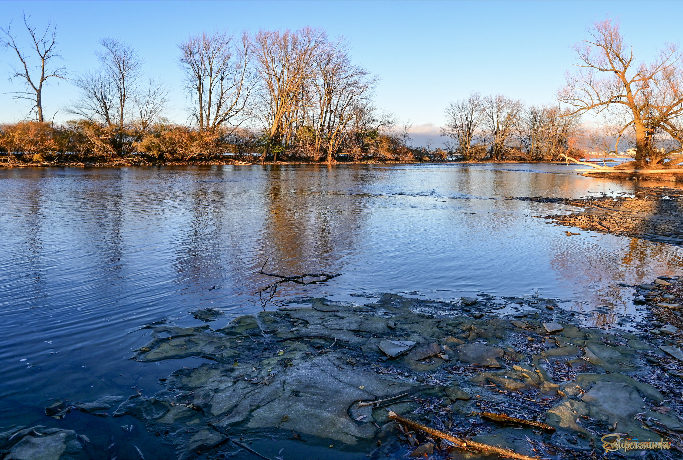Стояли дерева, вода своим путём бежала.