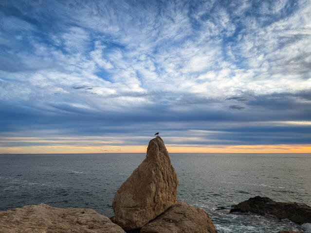 Одиночество