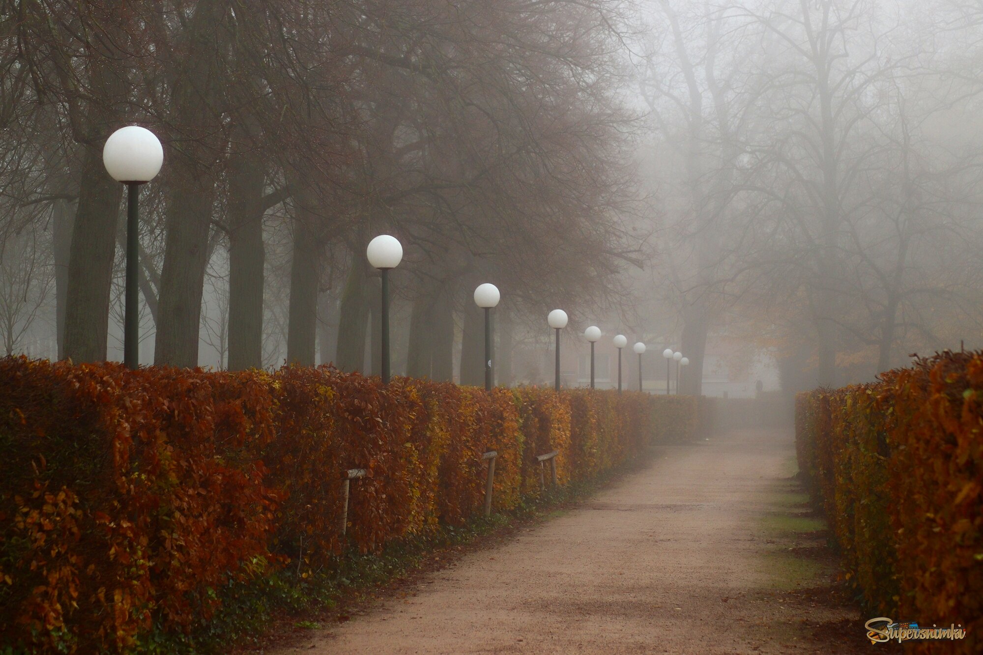 Туман окутал парк