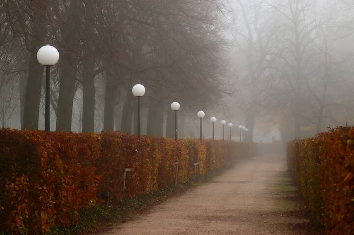 Туман окутал парк