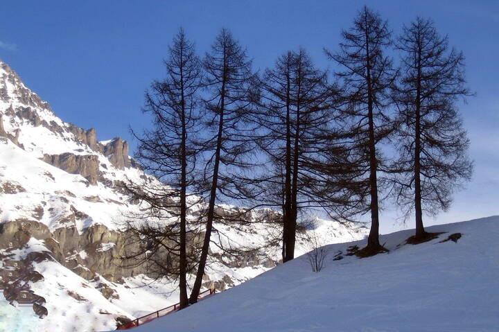 Альпы, зимние