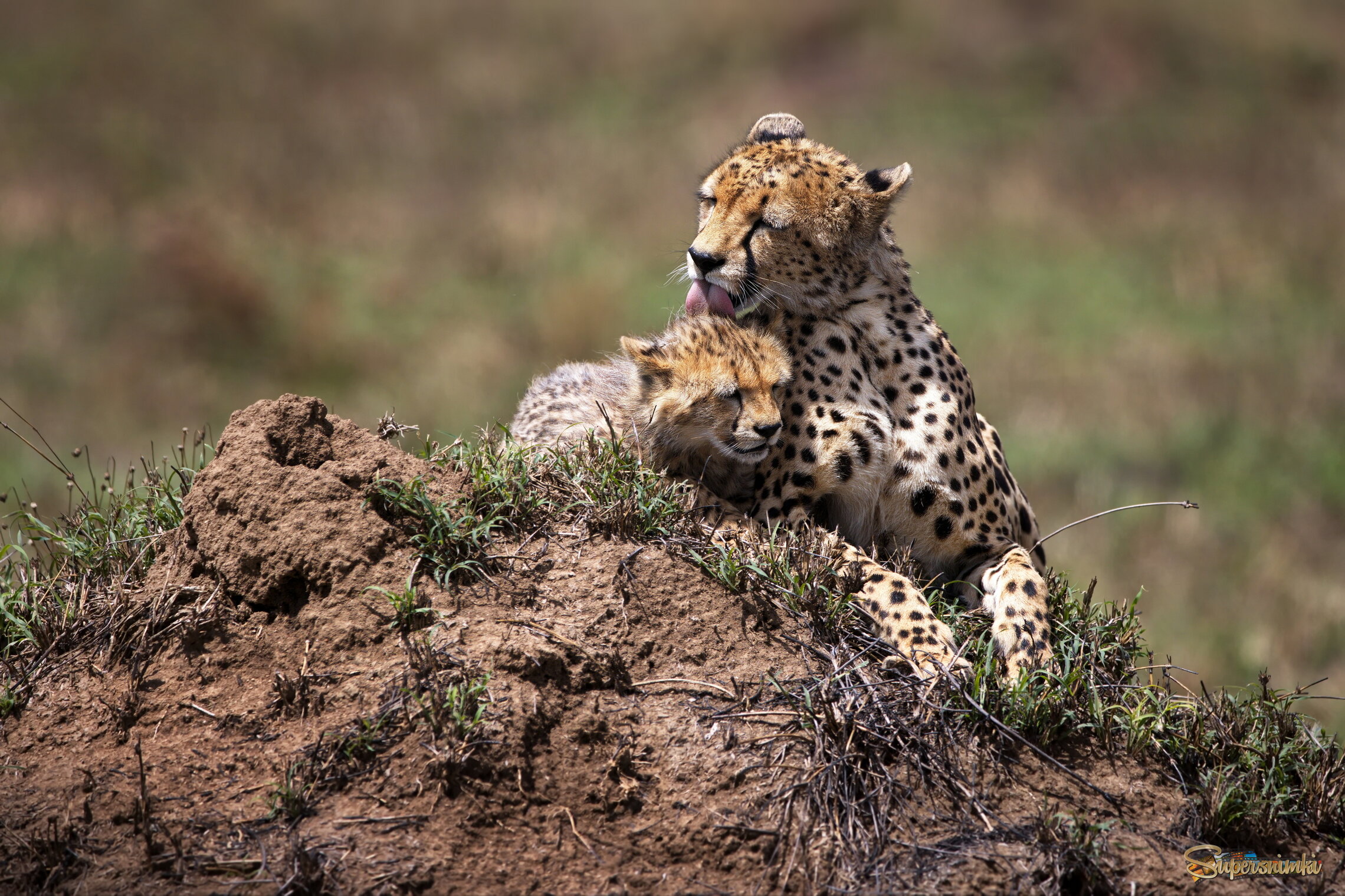 Мать и дитя