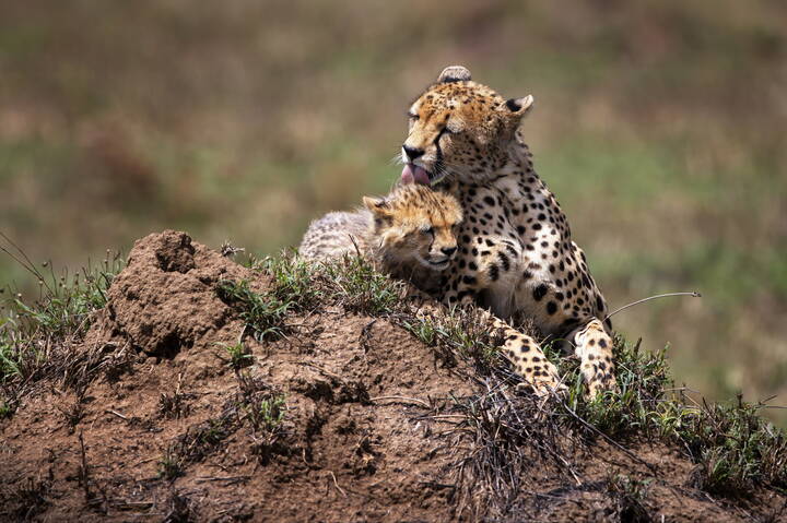 Мать и дитя