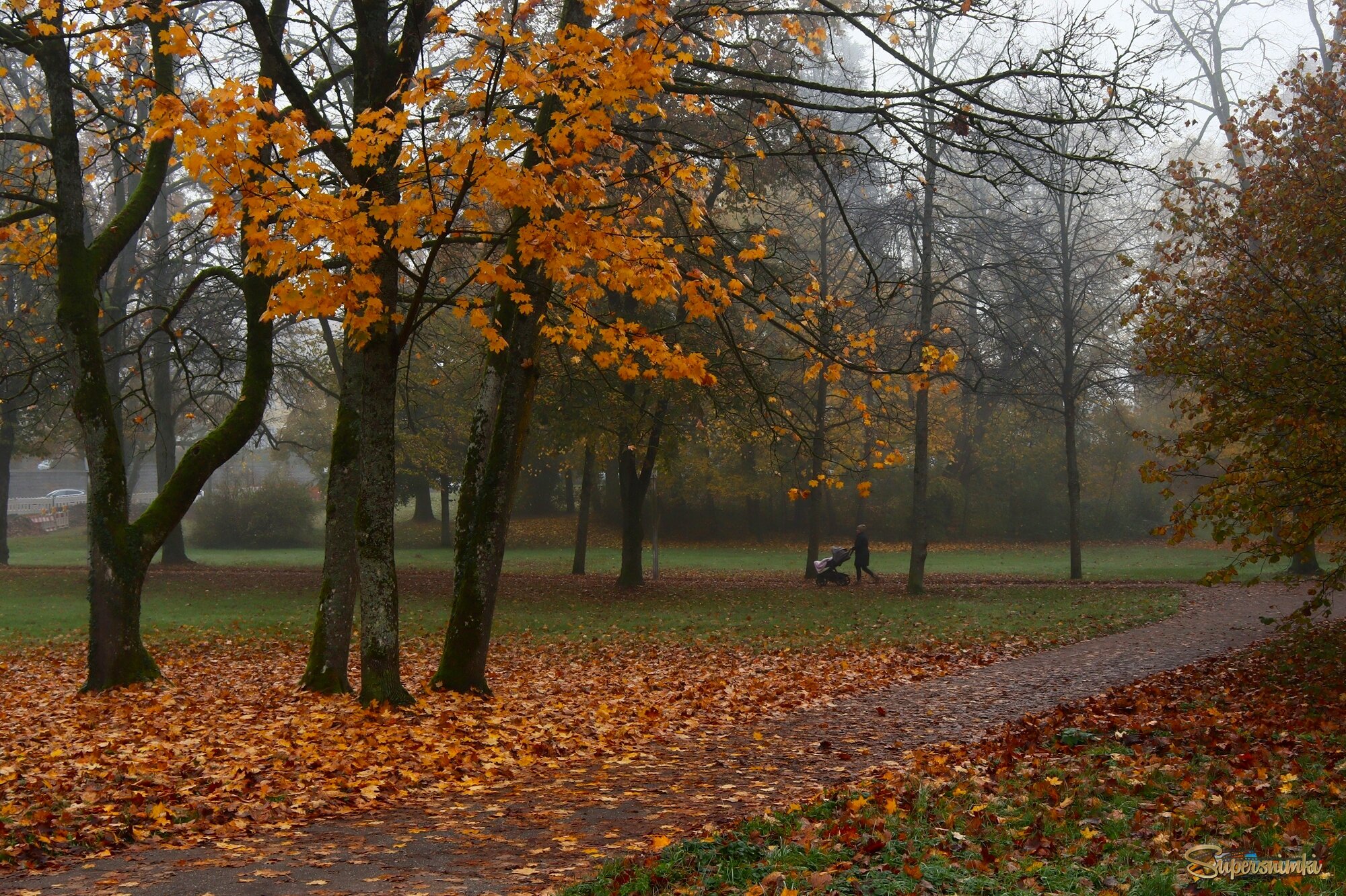 Утро поздней осени