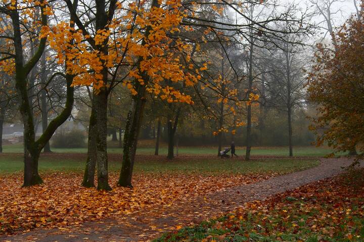 Утро поздней осени