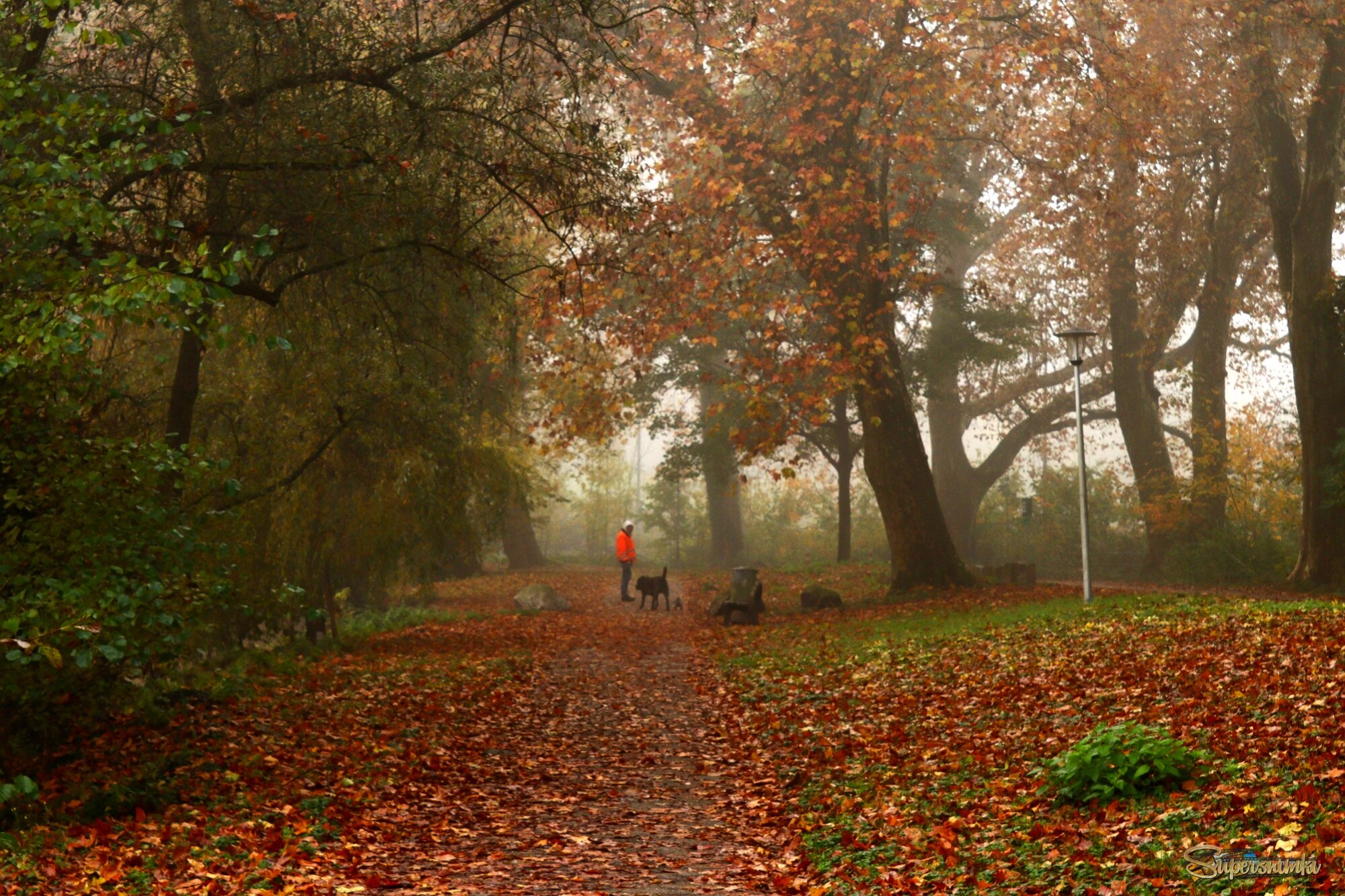 Осенние прогулки