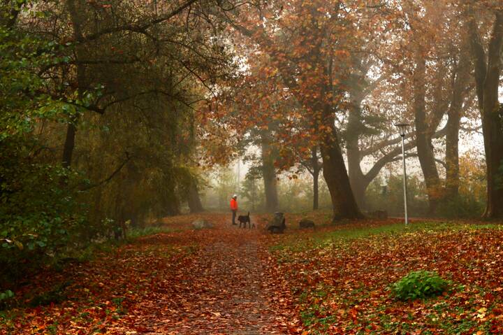 Осенние прогулки