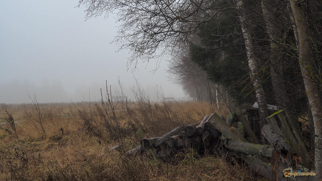 Подмосковные Пейзажи