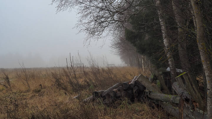 Подмосковные Пейзажи