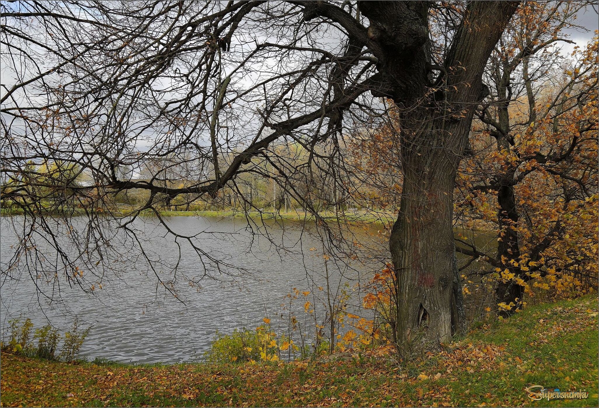 Ушедшвя осень