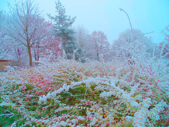 Зима подкралась.