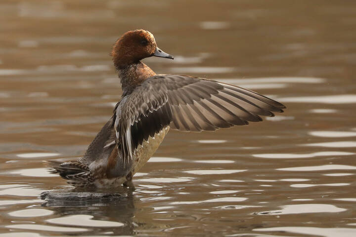 Вечерняя разминка