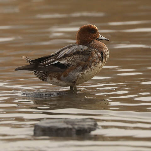 Вечерняя разминка