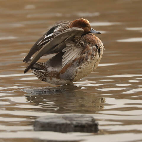 Вечерняя разминка