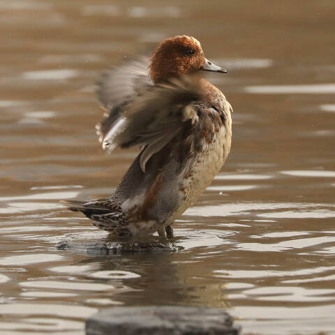 Вечерняя разминка