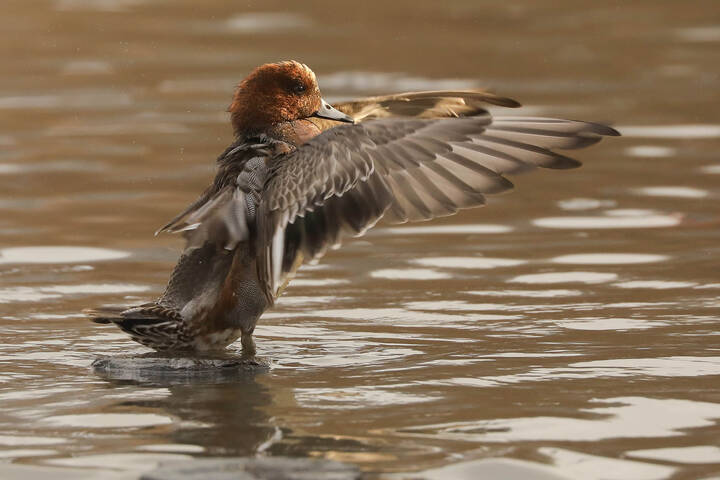 Вечерняя разминка