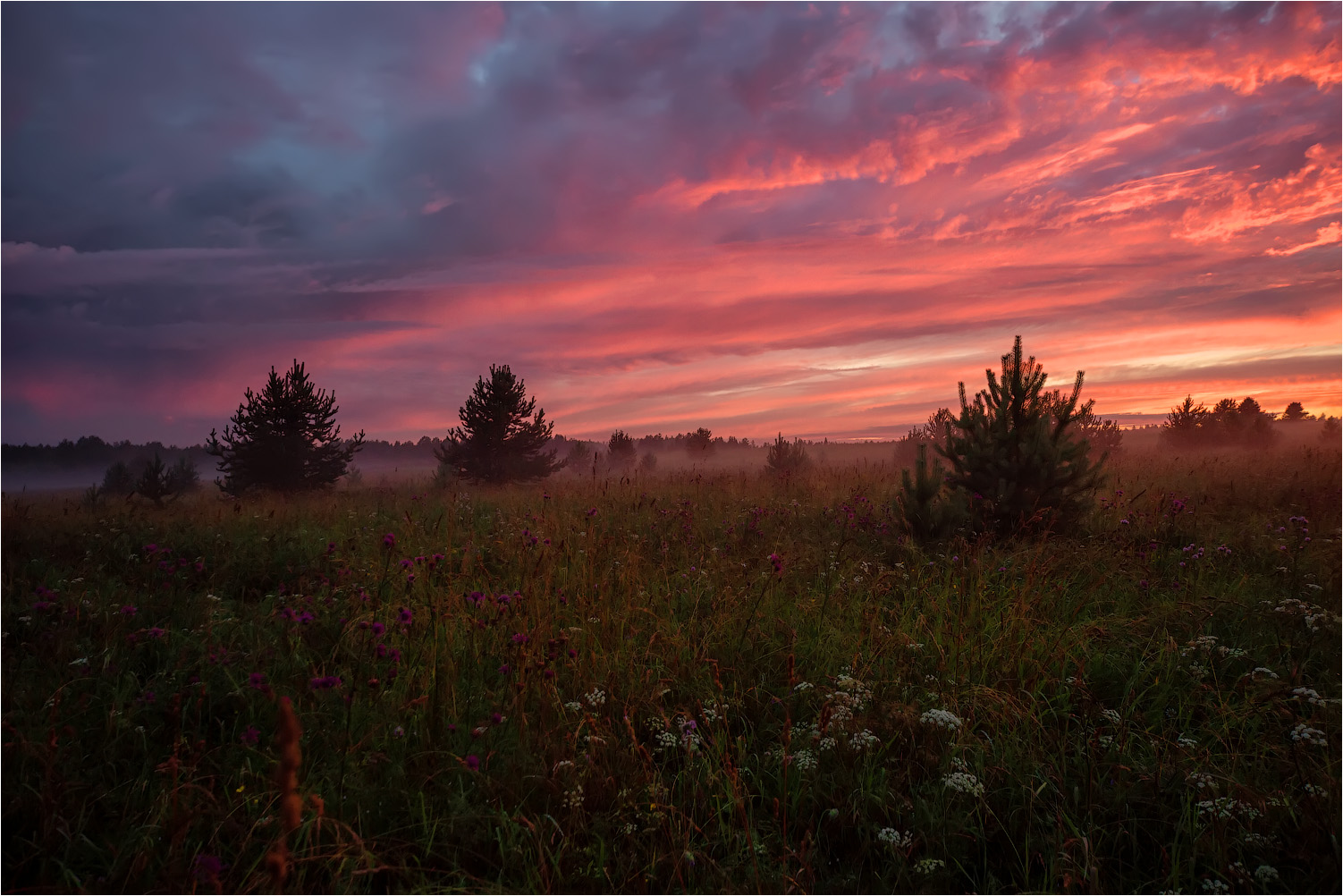 На исходе лета