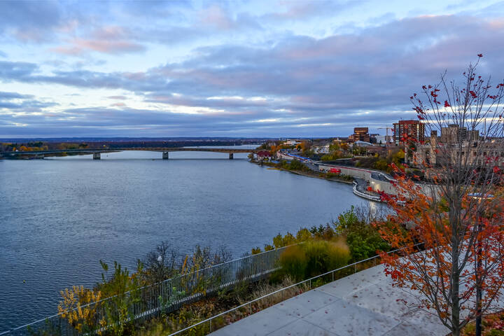 Вкруг моста Королевы Александры