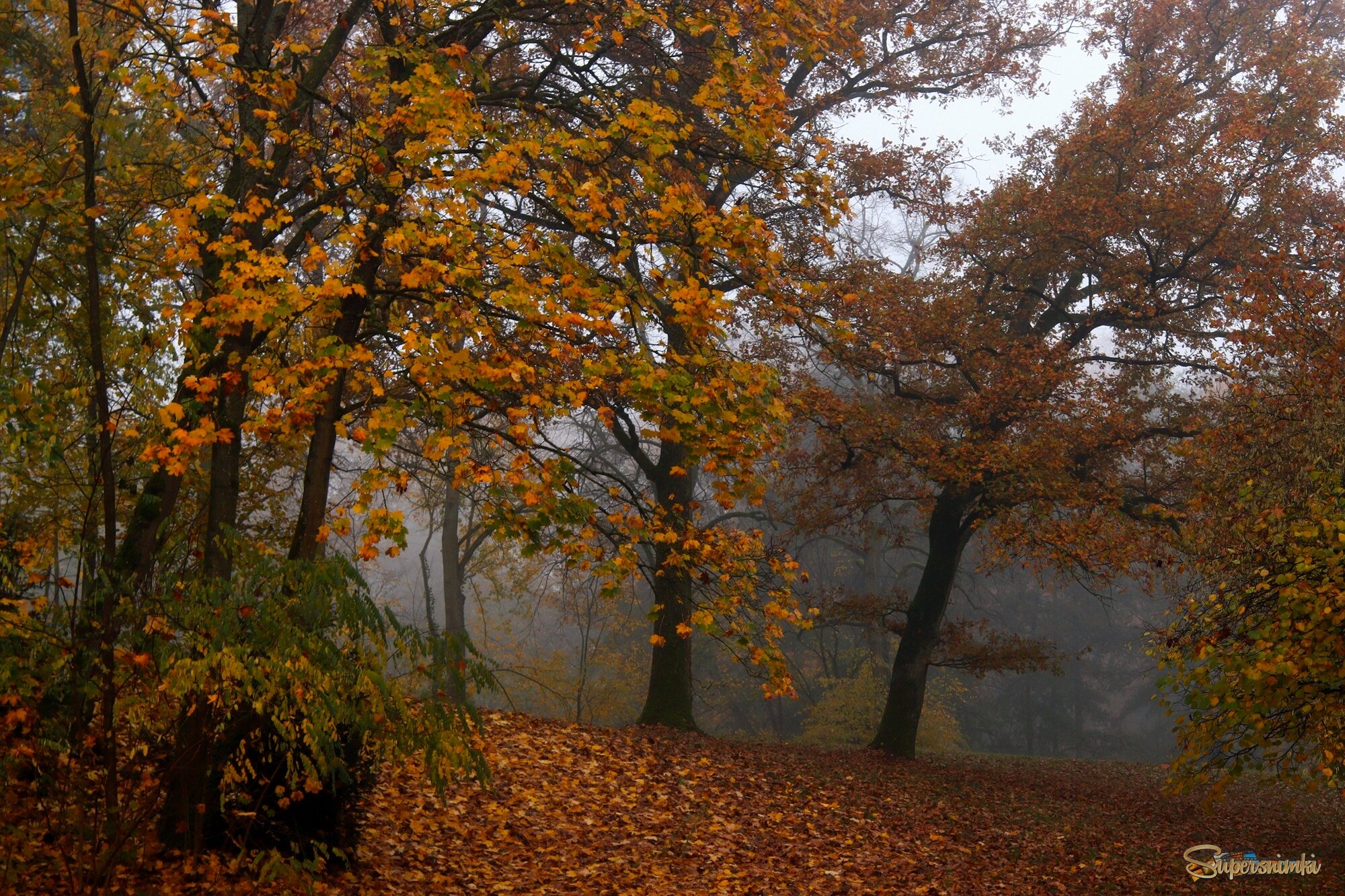 Хмурость осенних дней