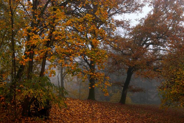 Хмурость осенних дней