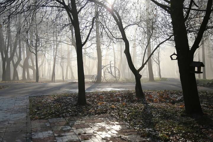 Бывает в осени туман...