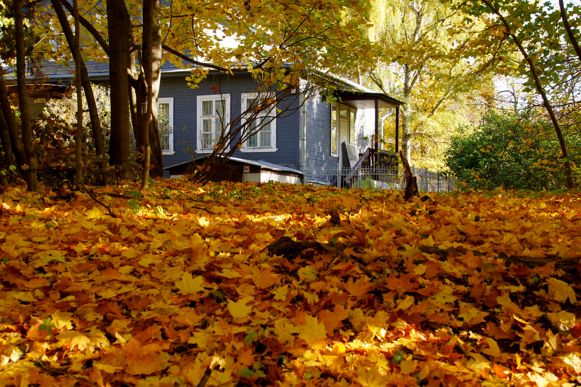 Музей К.Г. Паустовского