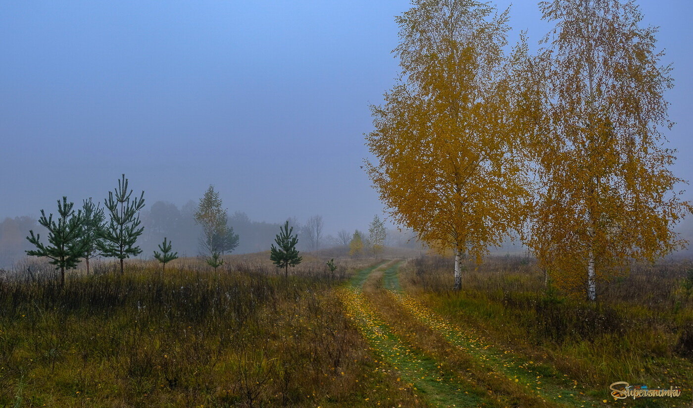Осенняя дорога