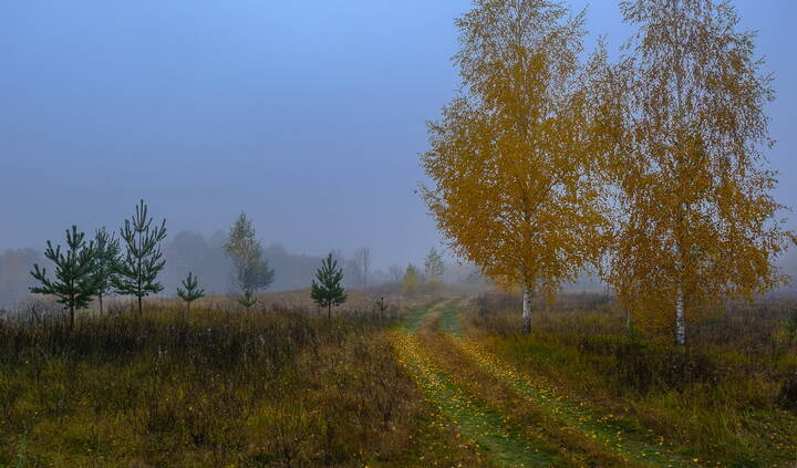 Осенняя дорога