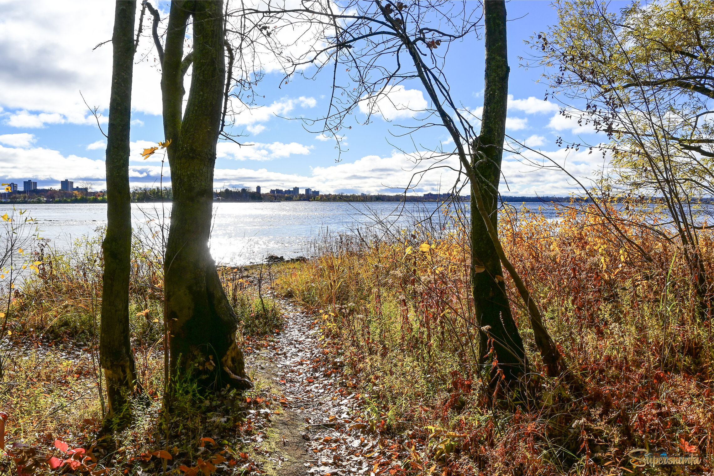 Выход на простор