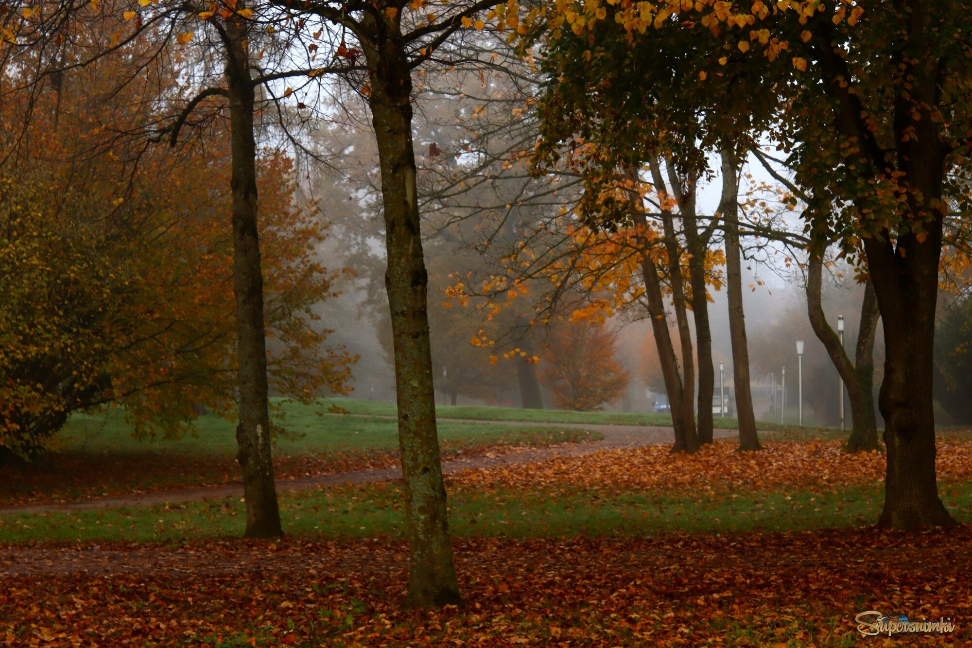 В осеннем парке тишина