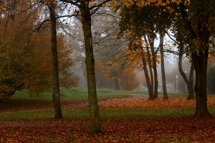 В осеннем парке тишина